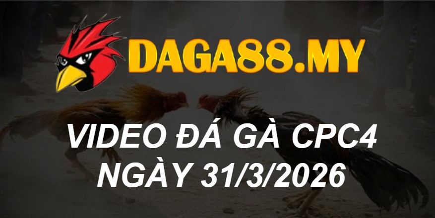 VIDEO GÀ CPC4 NGÀY 31/3/2026