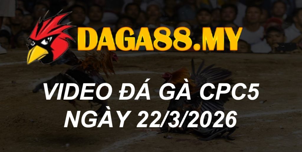 VIDEO GÀ CPC5 NGÀY 22/3/2026