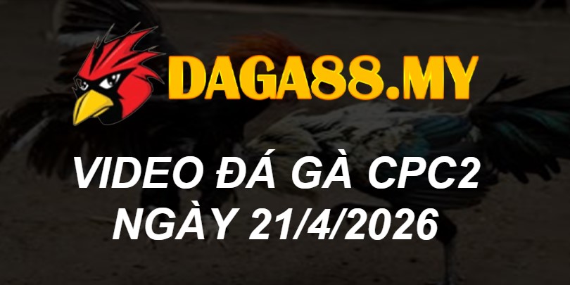 VIDEO GÀ CPC2 NGÀY 21/4/2026