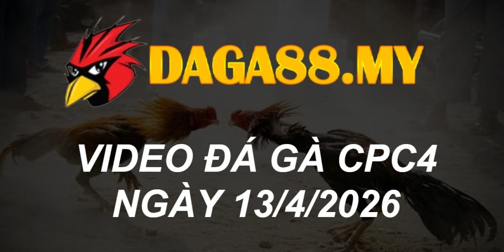 VIDEO GÀ CPC4 NGÀY 13/4/2026