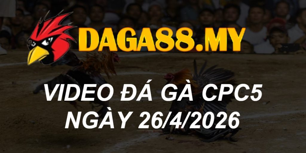 Video CPC5 ngày 26/04/2026