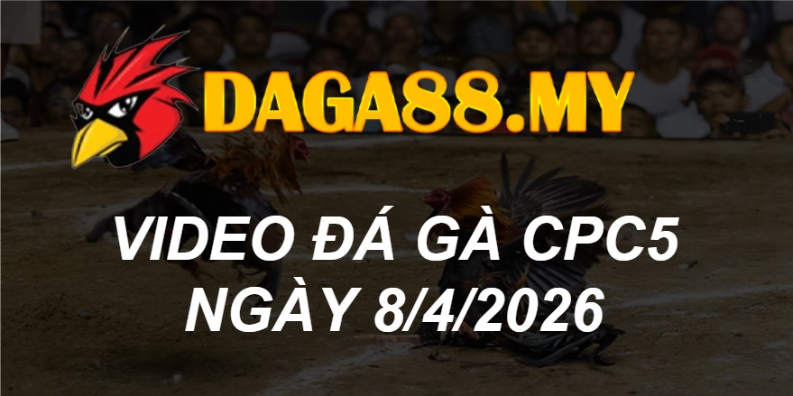 VIDEO GÀ CPC5 NGÀY 8/4/2026