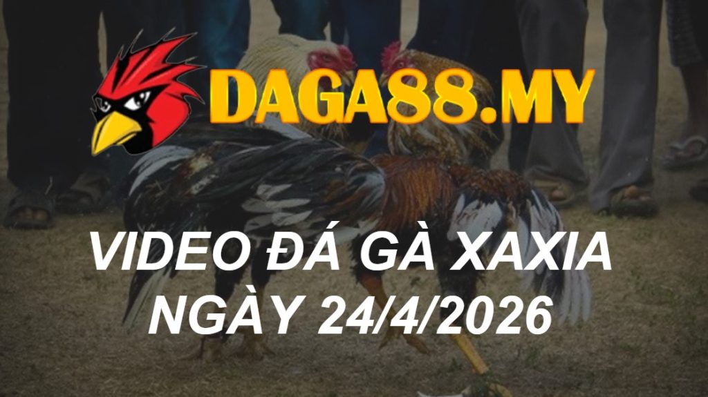 Video gà Video Xà Xía ngày 24/04/2026